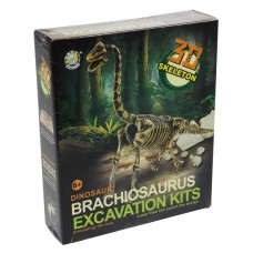 Игровой набор раскопки динозавров 503, 3D скелет