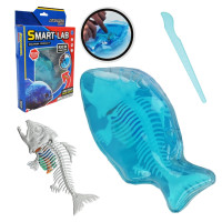 Дитячий лабораторнний набір "Піран’я" 802B, скелет, внутрішні органи (802B-A)