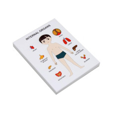 Пазлы обучающие Internal Organs Strateg 30349 органы человека(30349)