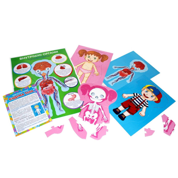 Навчальні пазли "Будова тіла" 13164012, 58 великих пазлів, плакат (13164012)