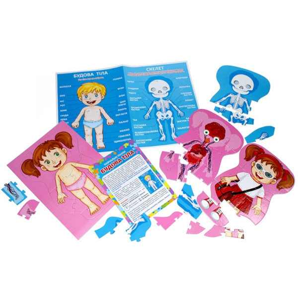 Навчальні пазли "Будова тіла" 13164012, 58 великих пазлів, плакат (13164012)