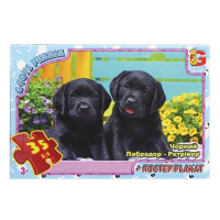 Дитячий пазл "Домашні улюбленці" AN145 постер 35 елементів (AN145)