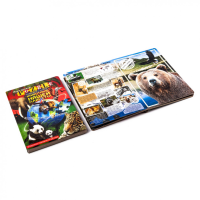 Детская развивающая книга "Пазлы" DT-PzB-01 на рус. языке Детская развивающая книга "Пазлы" DT-PzB-01 на рус. языке