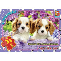 Пазлы детские "Домашние любимцы" AN143, 35 элементов(AN143)