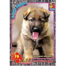 Детский пазл "Домашние питомцы" AN149 плакат 70 элементов(AN149)