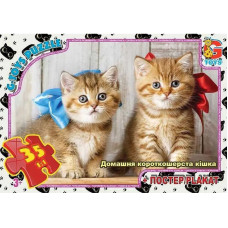 Пазлы детские "Домашние любимцы" AN144, 35 элементов(AN144)