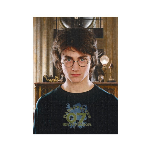 Пазл класичний Hard-M "Harry Potter. Портрет Гаррі" 200576, 450 елементів (200576)