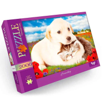 Пазл "Friendship" Danko Toys C2000-01-09, 2000 ел. (C2000-01-09)