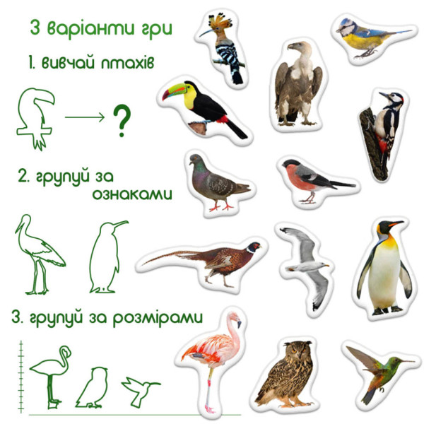 Дитячий набір магнітів Птахи фото Magdum ML4031-30 EN (ML4031-30 EN)