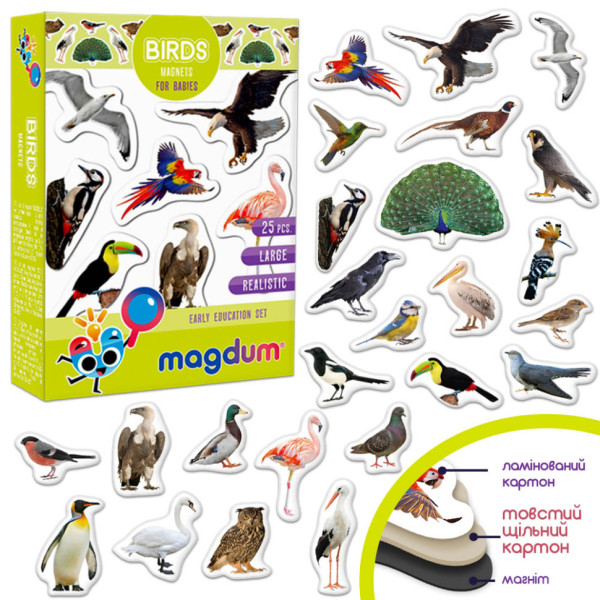 Дитячий набір магнітів Птахи фото Magdum ML4031-30 EN (ML4031-30 EN)