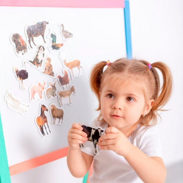 Набор магнитов Magdum "Ферма реалистичные" ML4031-04 EN(ML4031-04 EN)