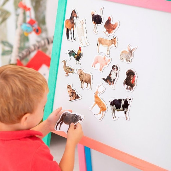 Набор магнитов Magdum "Ферма реалистичные" ML4031-04 EN(ML4031-04 EN)