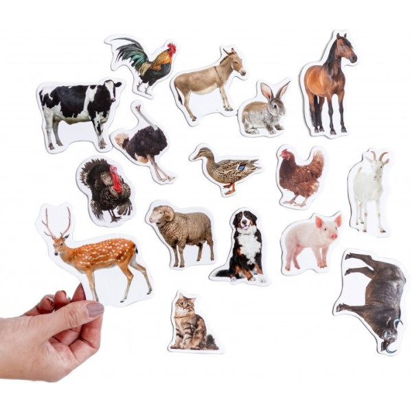 Набор магнитов Magdum "Ферма реалистичные" ML4031-04 EN(ML4031-04 EN)