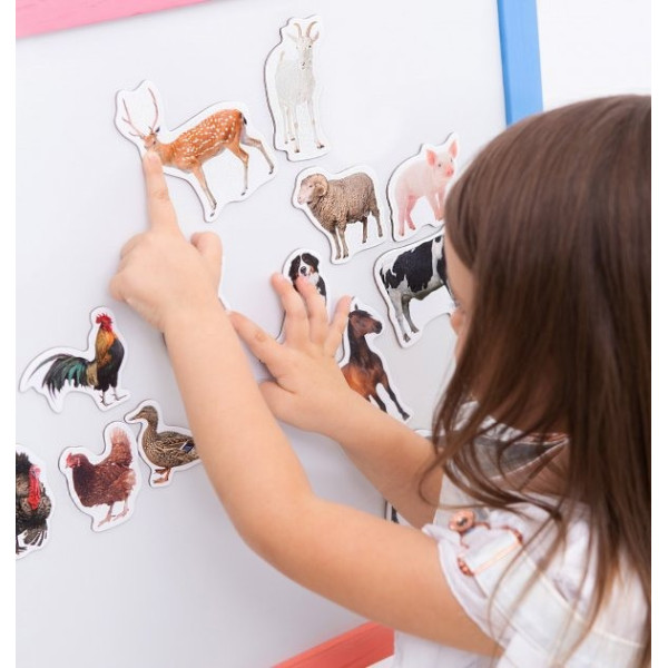 Набор магнитов Magdum "Ферма реалистичные" ML4031-04 EN(ML4031-04 EN)