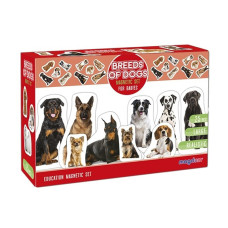 Дитячий розвиваючий набір магнітів "Породи собак" ML4031-20EN 24 фотомагніти (ML4031-20EN)