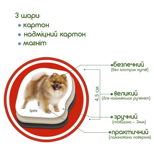 Дитячий розвиваючий набір магнітів "Породи собак" ML4031-20EN 24 фотомагніти (ML4031-20EN)