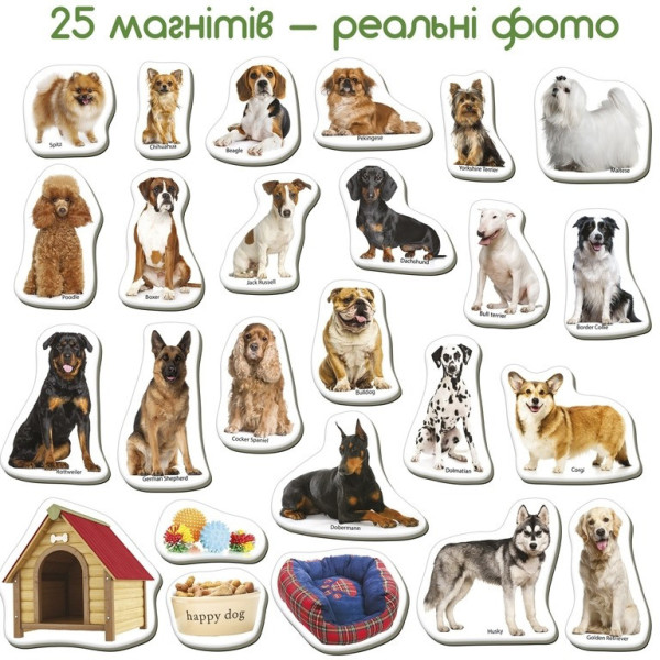 Дитячий розвиваючий набір магнітів "Породи собак" ML4031-20EN 24 фотомагніти (ML4031-20EN)