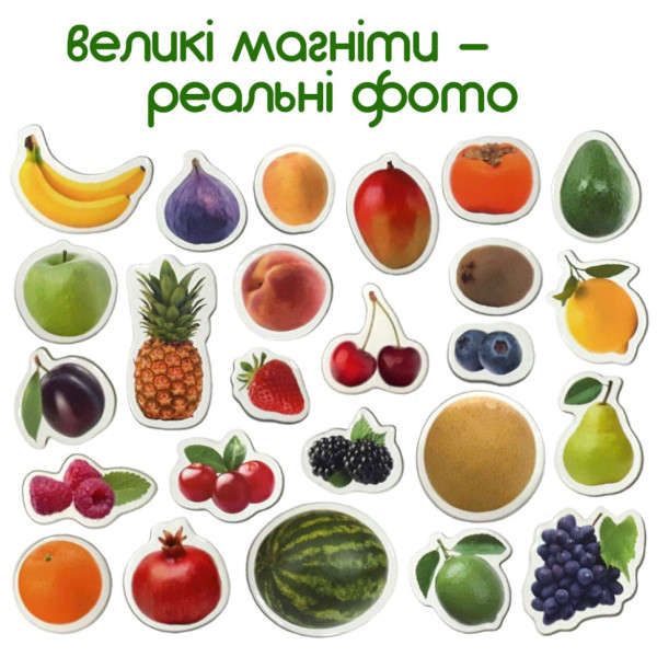 Набір магнітів Magdum "Фрукти і ягоди" ML4031-11 EN (ML4031-11 EN)