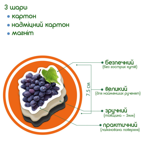 Набір магнітів Magdum "Фрукти і ягоди" ML4031-11 EN (ML4031-11 EN)