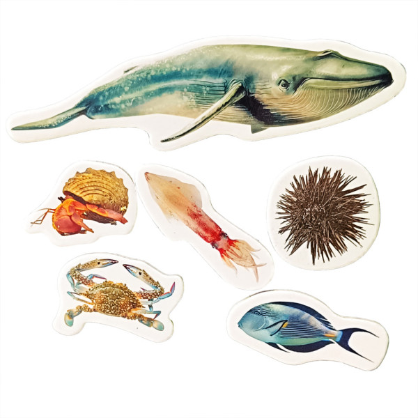 Дитячий набір магнітів "Мешканці морів та океанів" ML4032-27 в наборі 6 магнітів (ML4032-27)