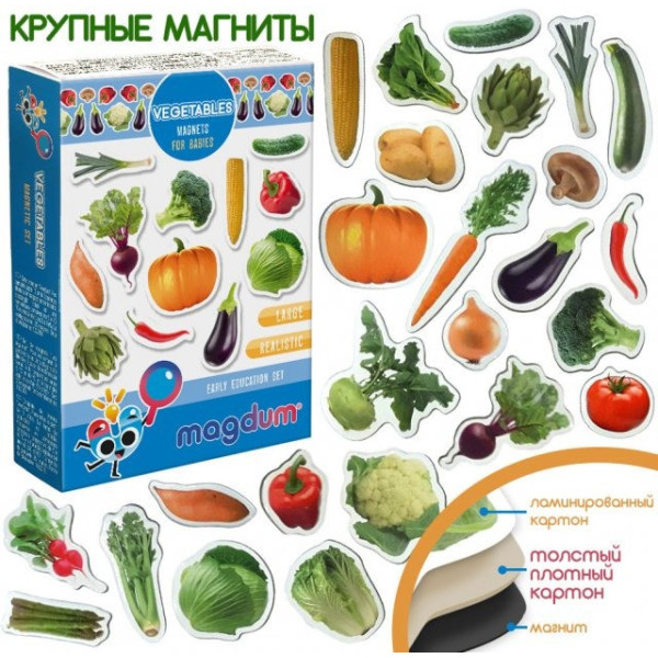 Набор магнитов Magdum "Овощи" ML4031-12 EN(ML4031-12 EN)