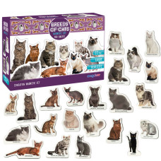Набор магнитов Magdum "Породы кошек" ML4031-13 EN(ML4031-13 EN)
