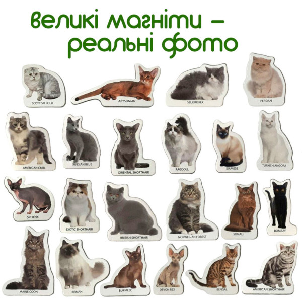 Набор магнитов Magdum "Породы кошек" ML4031-13 EN(ML4031-13 EN)