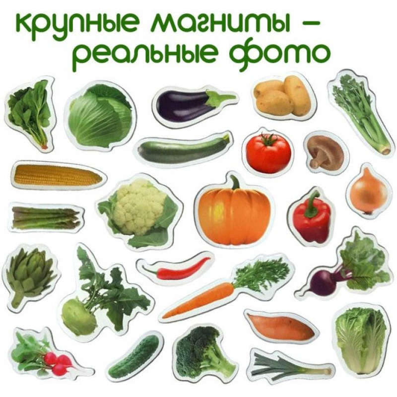 Набір магнітів Magdum "Овочі" ML4031-12 EN