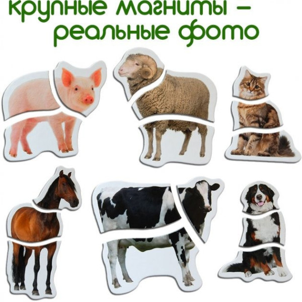 Магнітні пазли Magdum Ферма ML4031-19 EN (ML4031-19 EN)