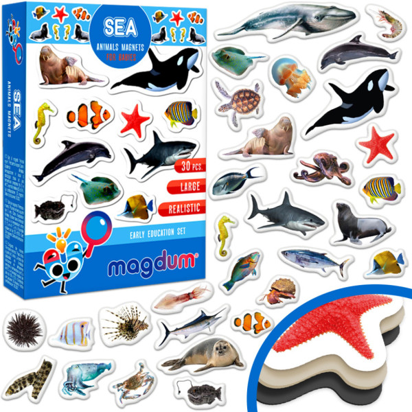 Дитячий набір магнітів Морські мешканці фото ML4031-28 EN (ML4031-28 EN)