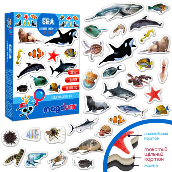 Дитячий набір магнітів Морські мешканці фото ML4031-28 EN (ML4031-28 EN)