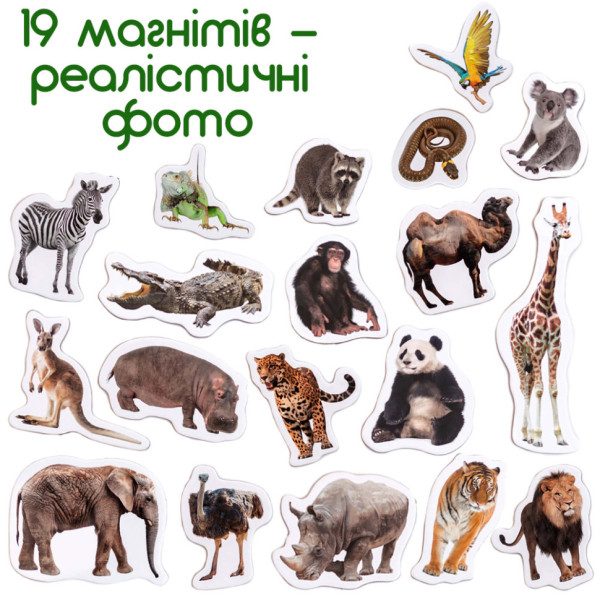 Набір магнітів Зоо 19шт ML4031-02 EN (ML4031-02 EN)