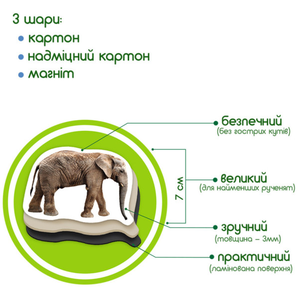 Набір магнітів Зоо 19шт ML4031-02 EN (ML4031-02 EN)