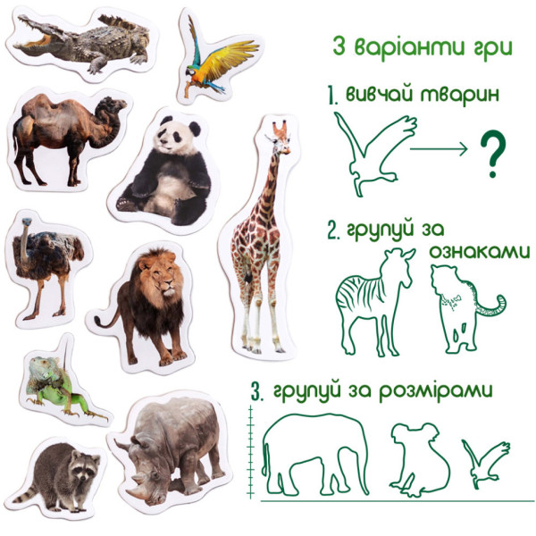 Набір магнітів Зоо 19шт ML4031-02 EN (ML4031-02 EN)