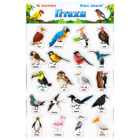 Набір магнітів "Птахи" 1311ATS (1311ATS)