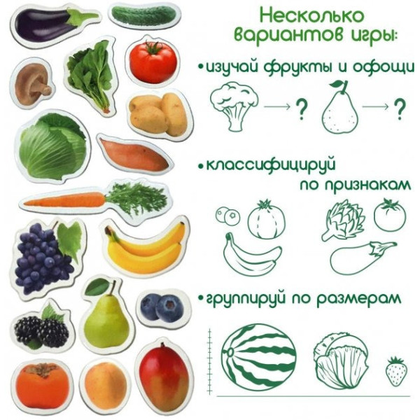 Набір магнітів Magdum "Фрукти і овочі" ML4031-15 EN (ML4031-15 EN)