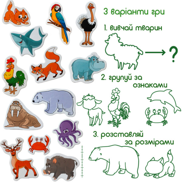 Набір магнітів Magdum Тварини ML4031-16 EN (ML4031-16 EN)