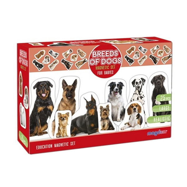 Дитячий розвиваючий набір магнітів "Породи собак" ML4031-20EN 24 фотомагніти (ML4031-20EN)