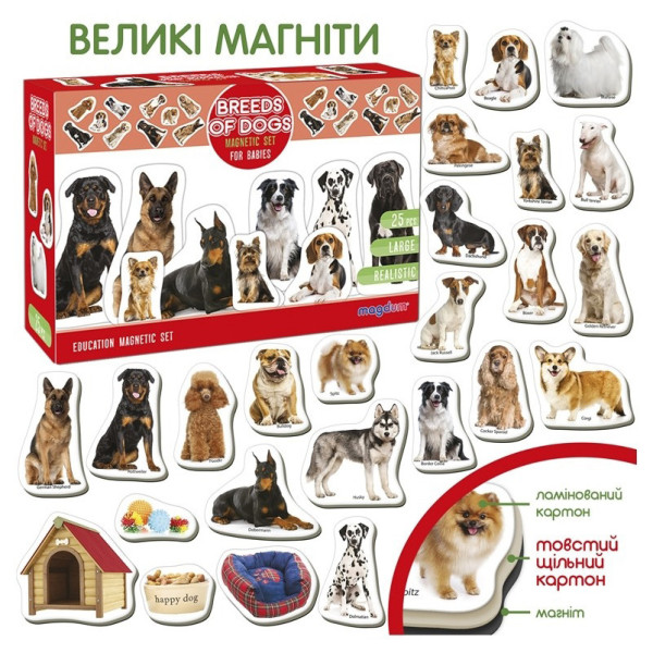 Дитячий розвиваючий набір магнітів "Породи собак" ML4031-20EN 24 фотомагніти (ML4031-20EN)