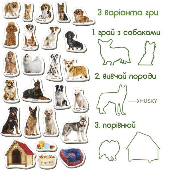 Дитячий розвиваючий набір магнітів "Породи собак" ML4031-20EN 24 фотомагніти (ML4031-20EN)