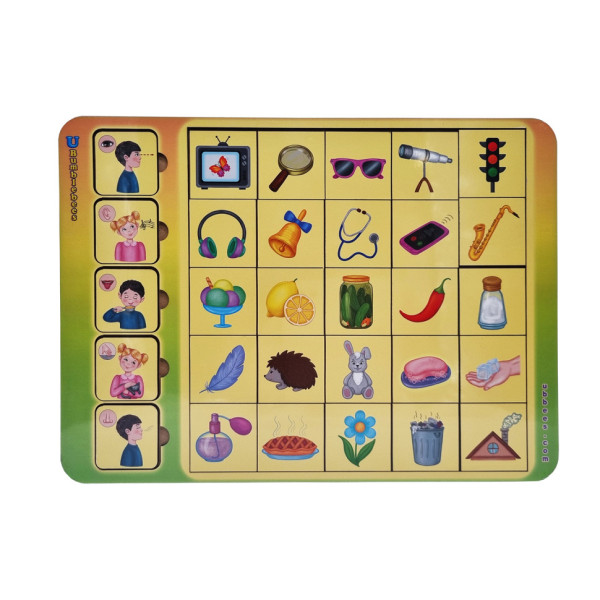 Розвивальна гра Асоціації "Органи чуття" (ПСД208) PSD208 (PSD208)