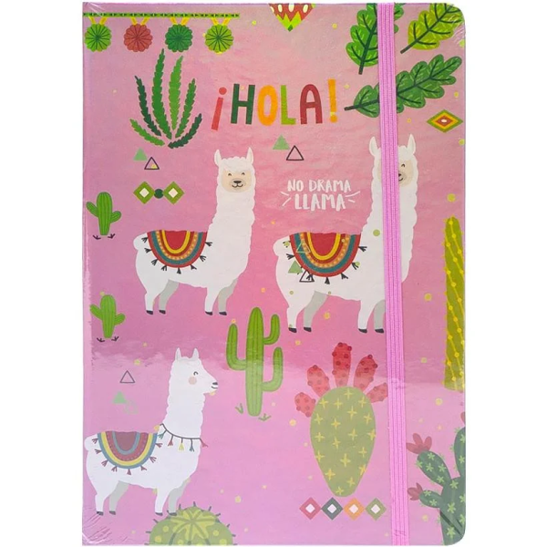 Блокнот на резинке COLOR-IT HC501-1  80 листов твердый переплет,