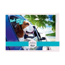 Альбом для рисования АМ-ГП-120-24 на спирали Путешествие(АМ-ГП-120-24-1)