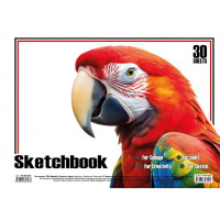 Альбом для малювання Папуга KT13022501 пружина 30 аркушів (KT13022501)
