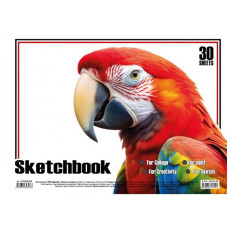 Альбом для малювання Папуга KT13022501 пружина 30 аркушів (KT13022501)