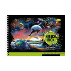 Скетчбук BLACK СББ-А5-24 А5, 24 листа Dolphin(СББ-А5-24-4)