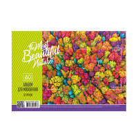 Альбом для рисования АП-П-120-30 на пружине Beautiful nature(АП-П-120-30-6)