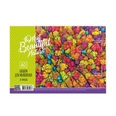 Альбом для рисования АП-П-120-30 на пружине Beautiful nature(АП-П-120-30-6)