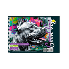 Альбом для малювання "Good Boy Dog" АП-П-120-40-1, 40 аркушів, пружина збоку (АП-П-120-40-1)