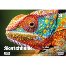 Альбом для рисования Хамелеон KT13022504 пружина 30 листов(KT13022504)